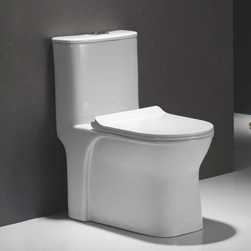 One Piece P-Trap Toilets