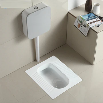 Indian Toilets / Orissa Pan